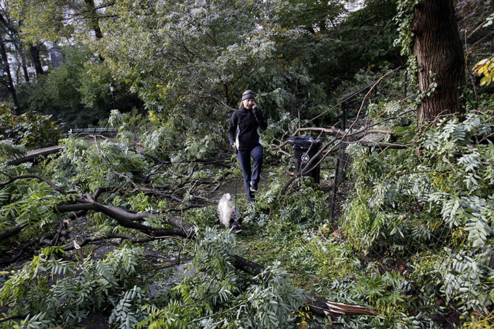 New York state snowstorm: A women steps over tree limbs while walking her dog in Central Park