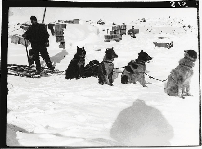 Lost Captain Scott: An image from The Lost Photographs of Captain Scott by David M Wilson