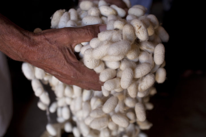 Silk industry in Herat: with support of Christian Aid’s partner RAADA