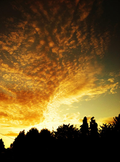 In Pictures: Gold: sunset