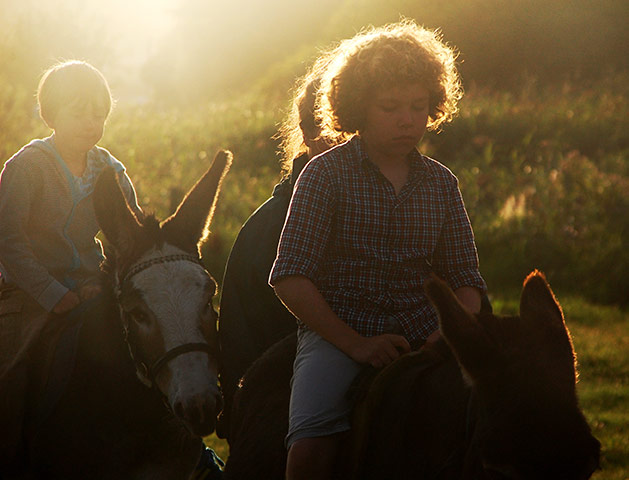 In Pictures: Gold: donkey ride