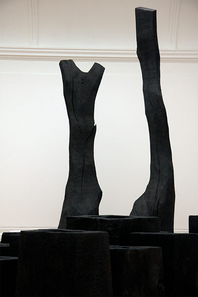 exhibitionist0810: David Nash
