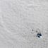 Satellite Eye on Earth: Heard Island of the southern Indian Ocean,