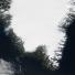 Satellite Eye on Earth: coasts of southern Greenland