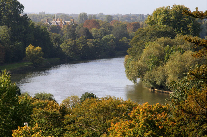 Sabine Thoele assignment: Pastoral London II