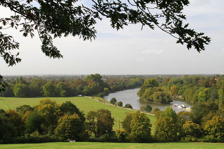 Sabine Thoele assignment: Pastoral London I