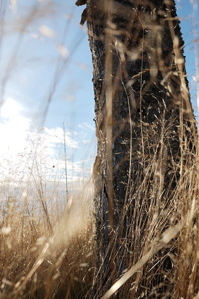 Guardian Camera Club: Idor Akland participates in the landscapes assignment