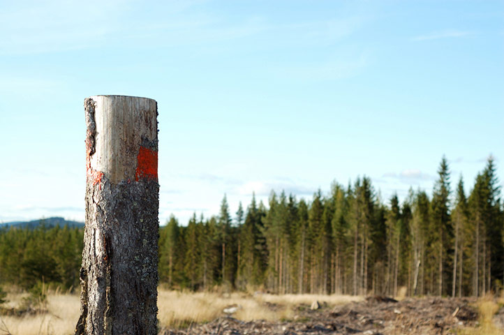 Guardian Camera Club: Idor Akland participates in the landscapes assignment