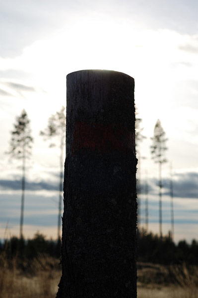 Guardian Camera Club: Idor Akland participates in the landscapes assignment