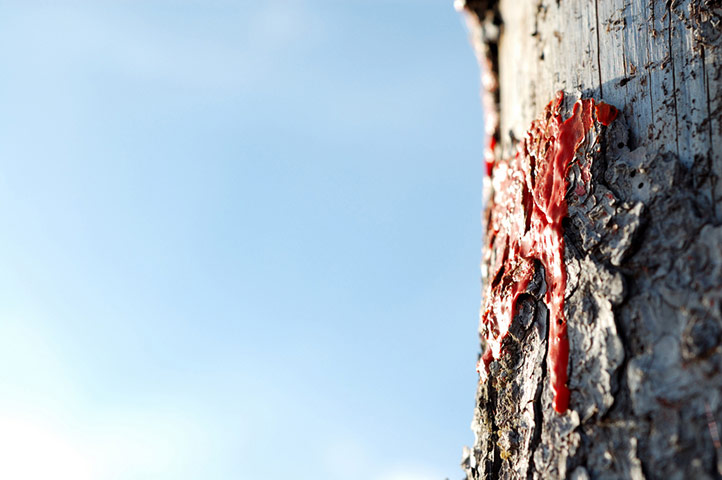 Guardian Camera Club: Idor Akland participates in the landscapes assignment