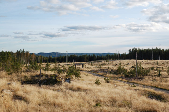 Guardian Camera Club: Idor Akland participates in the landscapes assignment