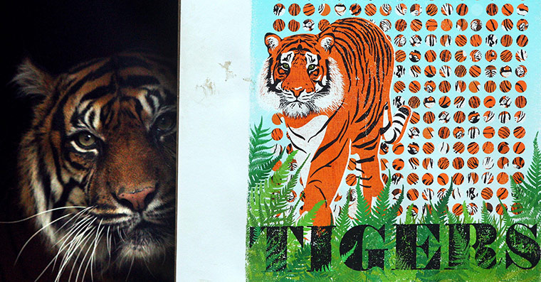 Week in wildlife: London Zoo Tiger SOS campaign