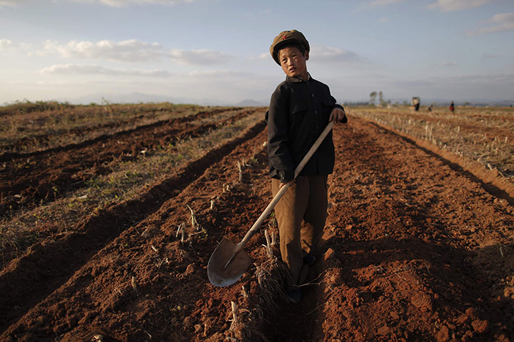 Famine in North Korea:  area damaged by summer floods and typhoons in South Hwanghae province 