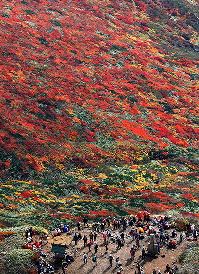 24 Hours: Mount Kurikoma