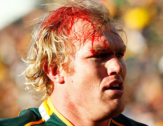 rugby: South Africa Springboks' Schalk Burger