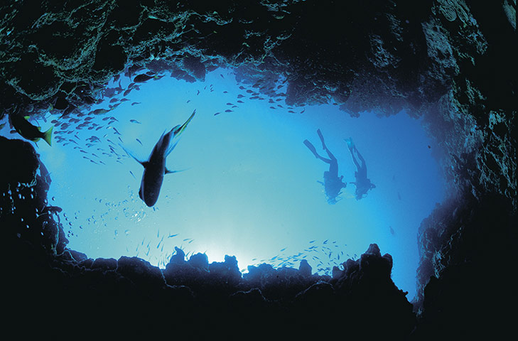 Tourism Western Australia: Divers with fish off the Exmouth coast, in Ningaloo Marine Park