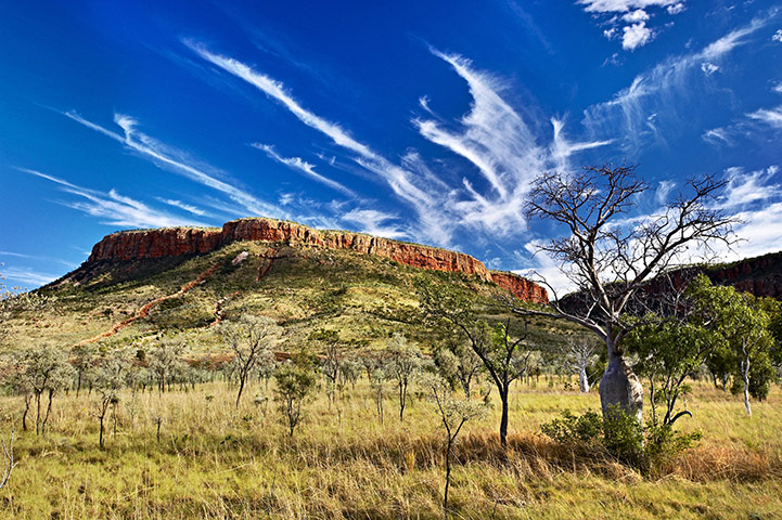 Tourism Western Australia: View of Cockburn Range, located on El Questro Station, west of Kununurra