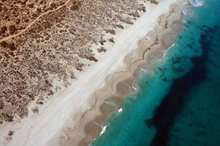 Tourism Western Australia: Aerial view of scalloped beach and arid coastline of Ningaloo Reef