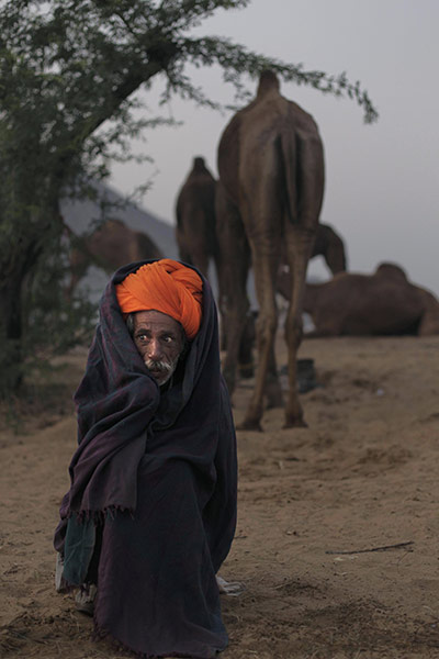 FTA: Manish Swarup: An Indian camel herder wrapped in a blanket sits next to his animals 