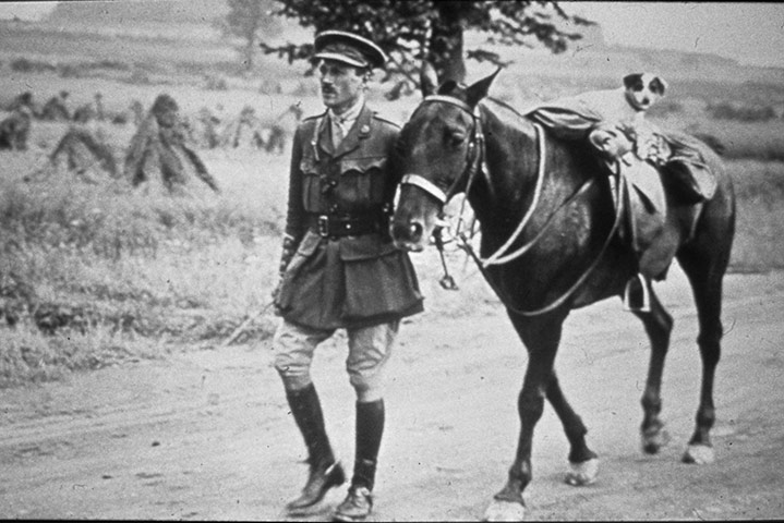 Animals in war: A soldier with horse and dog on horse’s back