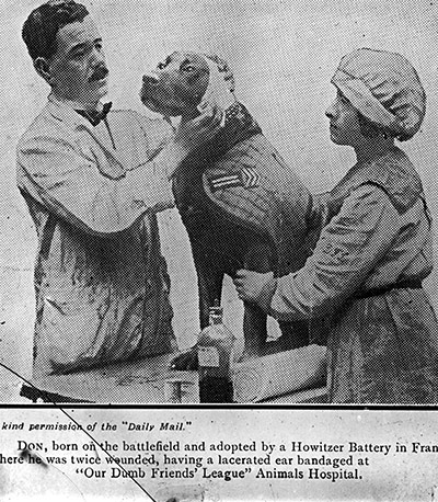 Animals in war: A dog being treated by vet and nurse