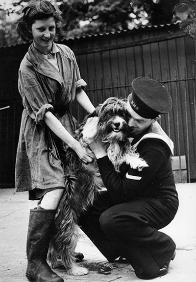 Animals in war: A sailor greets a dog at Charlton kennels