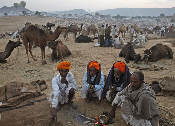 FTA: Manish Swarup: Indian camel herders prepare tea in the early morning 