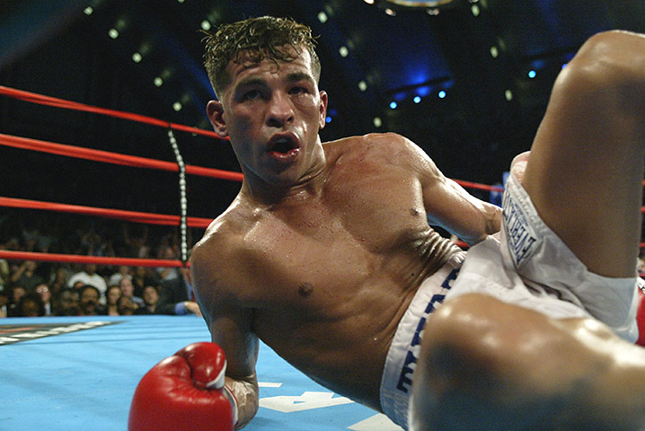 Boxing: Gatti is knocked down by Micky Ward