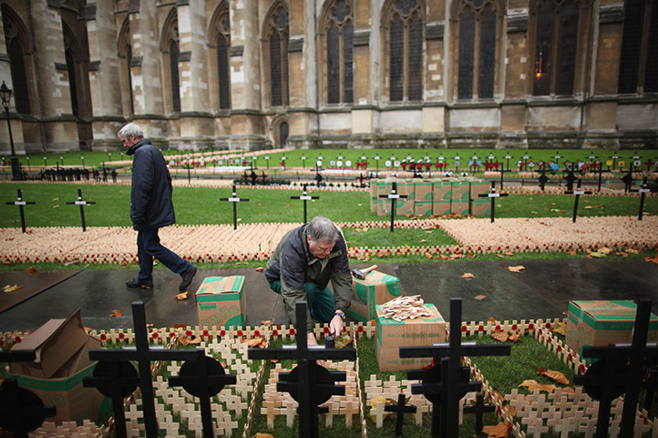 Armistice day: Bill Sellick plants remembrance crosses outside Westminster Abbey