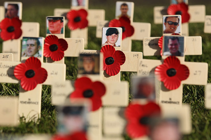 Armistice day: Field of Remembrance in Princess Street Gardens Edinburgh