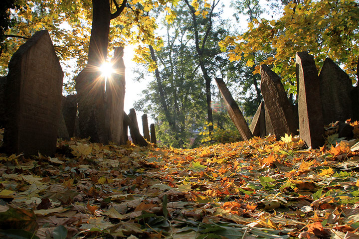 Guardian Camera Club: Sabine Thole participates in the 24-hour narrative assignment