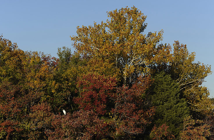 Week in iwildlife: Warm weather after two days of colder temperatures across the area.