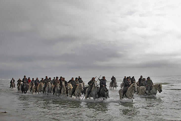 24 Hours: Abrivado - bulls chase men on horses tradition