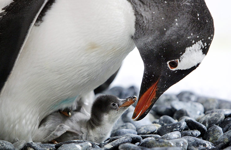 24 hours in pictures: Melbourne, Australia