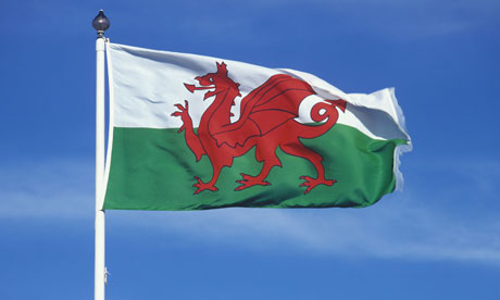 Welsh Flag Dragon