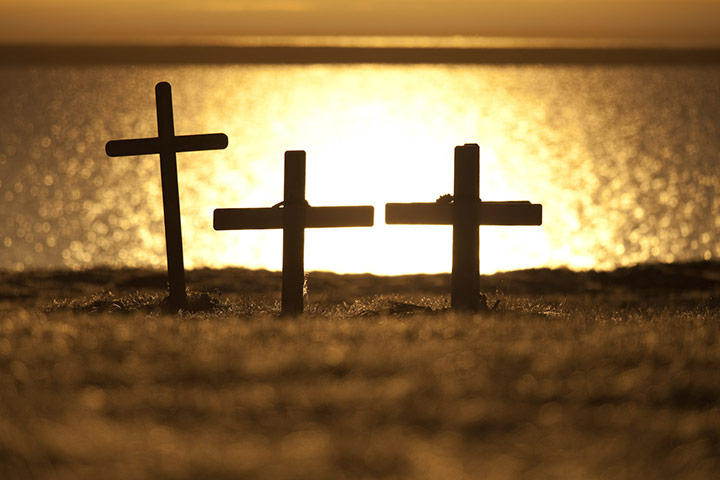 Stranded polar bears: Barter Island, Kaktovik, Alaska