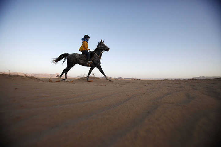 24 hours in pictures: Wadi Rum Endurance Horse Race