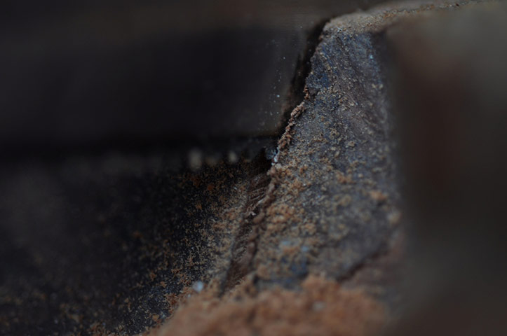 Guardian Camera Club: Joe the celt participates in the 24-hour narrative assignment