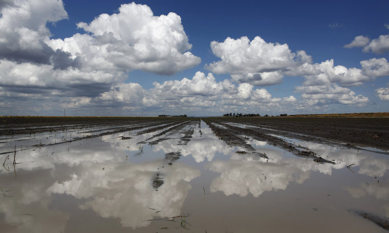 From the agencies: Water stands on a recently planted field