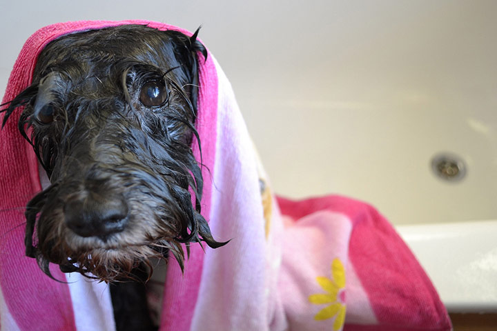 Guardian Camera Club: Martin BW participates in the 24-hour narrative assignment