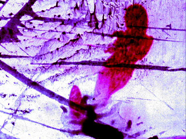 Exhibitionist 19/11: Jennifer West