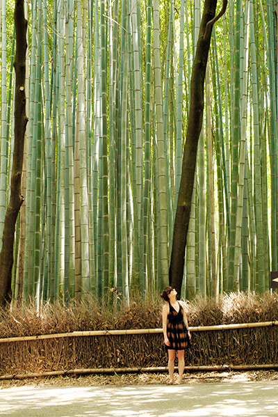 In pictures: Height: bamboo groves