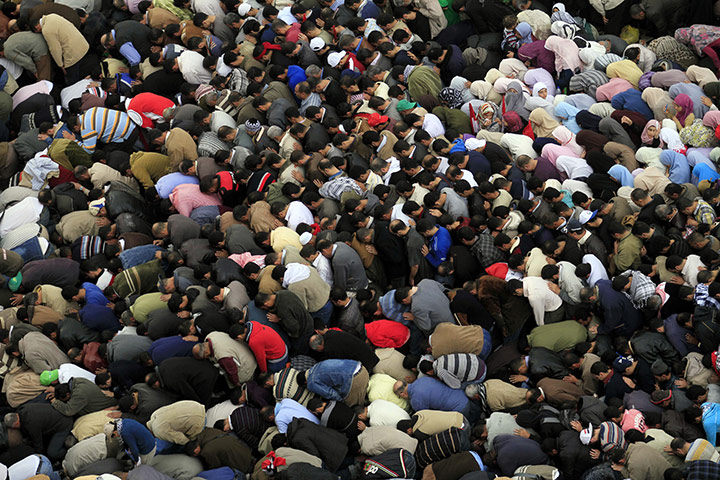 protests in cairo: Male and female protesters bow in prayer at Tahrir Square 