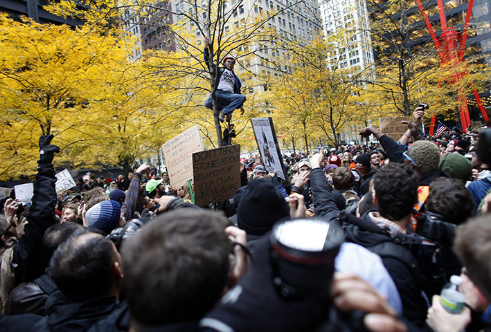 Occupy, Day of Action: An Occupy Wall Street protester climbs a tree in Zuccotti Park