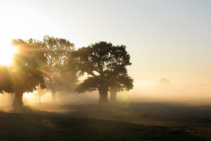 Green shoots : Readers photos on colours of autumn