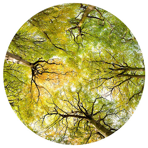 Green shoots : Readers photos on colours of autumn