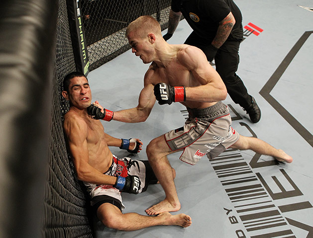 24 hours in pictures: UFC Bantamweight bout at the HP Pavillion in San Jose