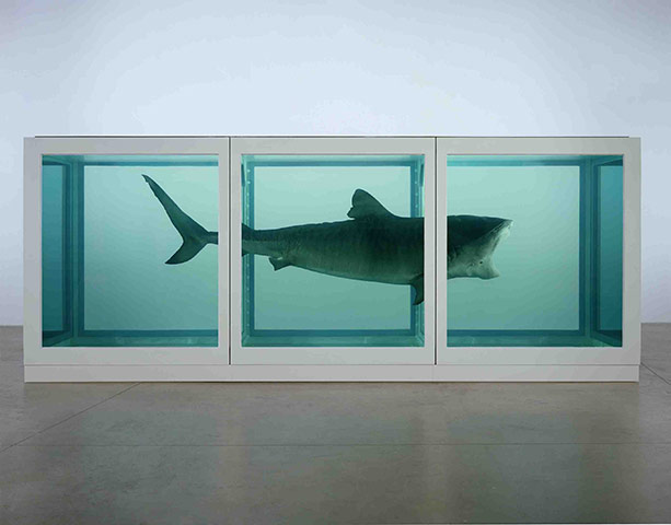 Damien Hirst's art career: The Physical Impossibility of Death in the Mind of Someone Living 1991