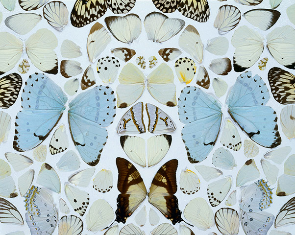 Damien Hirst's art career: Damien Hirst's Sympathy in White Major - Absolution II  2006 (detail)