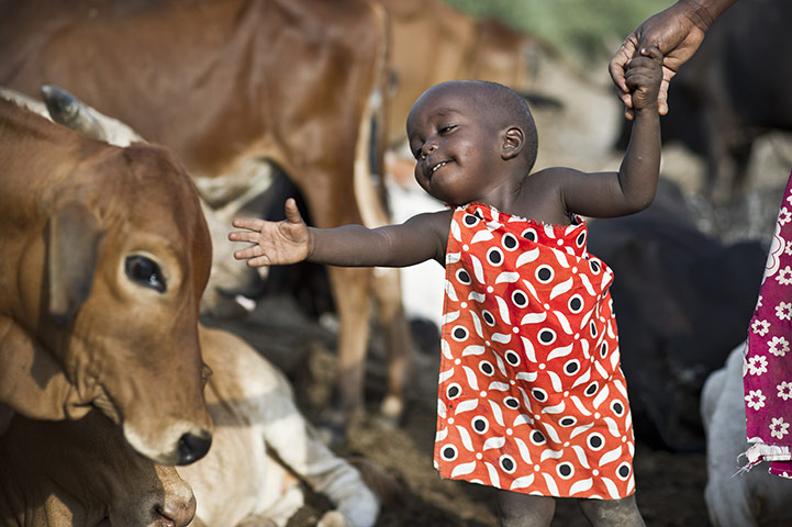 Climate change in Kenya: Maasai pastoralists living near the Tanzanian border Kojiado District Kenya